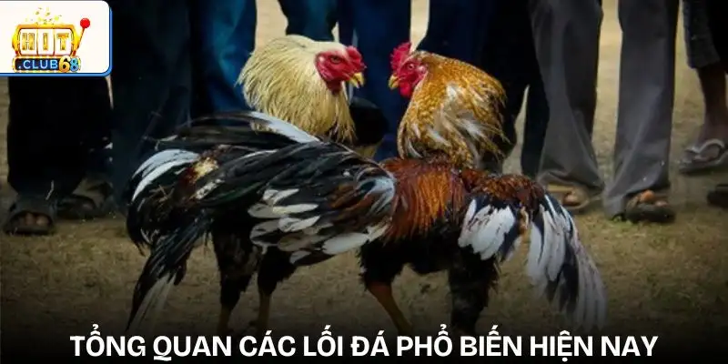 phan tich loi da ga de du doan ket qua tong quan