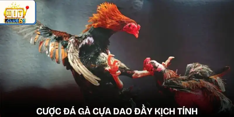 sanh cuoc da ga cua dao