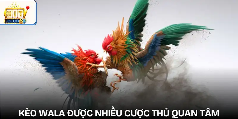 sanh cuoc da ga keo wala cua khach doi thu nha cai