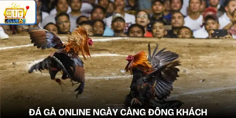 sanh cuoc da ga thu hut dong dao nguoi choi