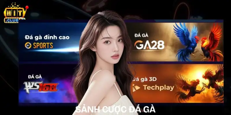 sanh cuoc da ga